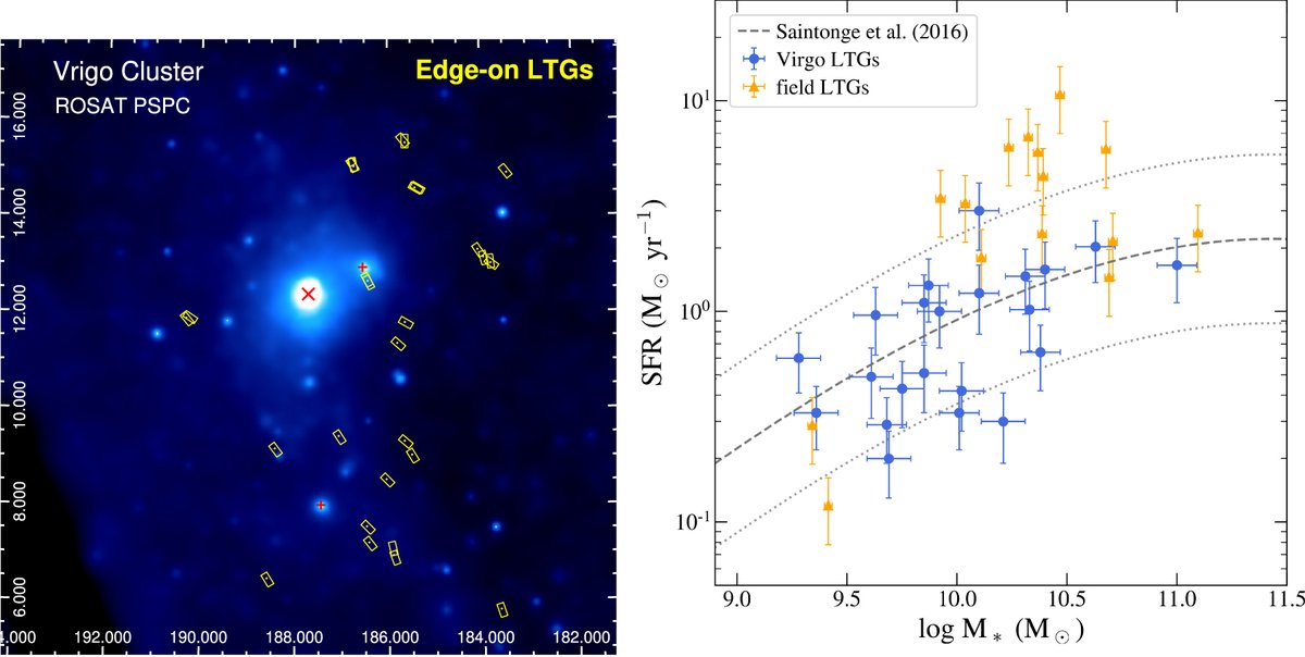ChandraArchive's tweet photo. Hou+24 use archival Chandra observations -- 30, count 'em, 30 -- to study the spatial distribution of 21 edge-on LTGs in the Virgo Cluster. The results, and the fetching images below, can be found in bibcode 2024ApJ...961..249H. https://t.co/dmkeYwe5mp