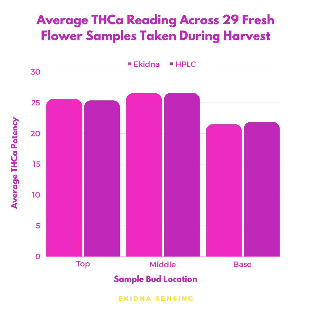 Exploring potency with precision! 🔬

 Ekidna &amp; Sunrise Cannabis tested one sample plant across top, middle, &amp; base zones, revealing fascinating variations.  

Discover more in our case study: ekidna.ca/case-studies/   #CannabisResearch #DataDriven