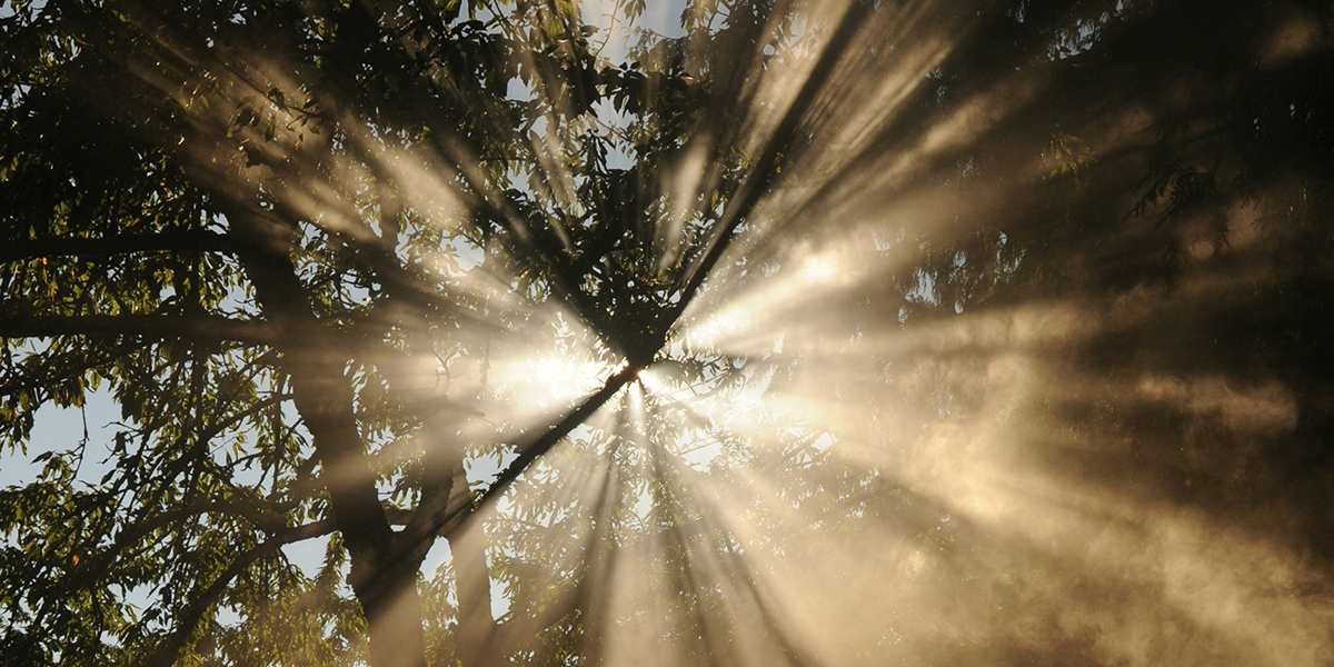 "The tradition of the heart does not say merely that God loves us 'because'... but that God is Love. God’s very essence in some small way might be encountered here and now."   

I'm touched by the words of Wendy Wright. #DailyMeditations tinyurl.com/mtf7m86t