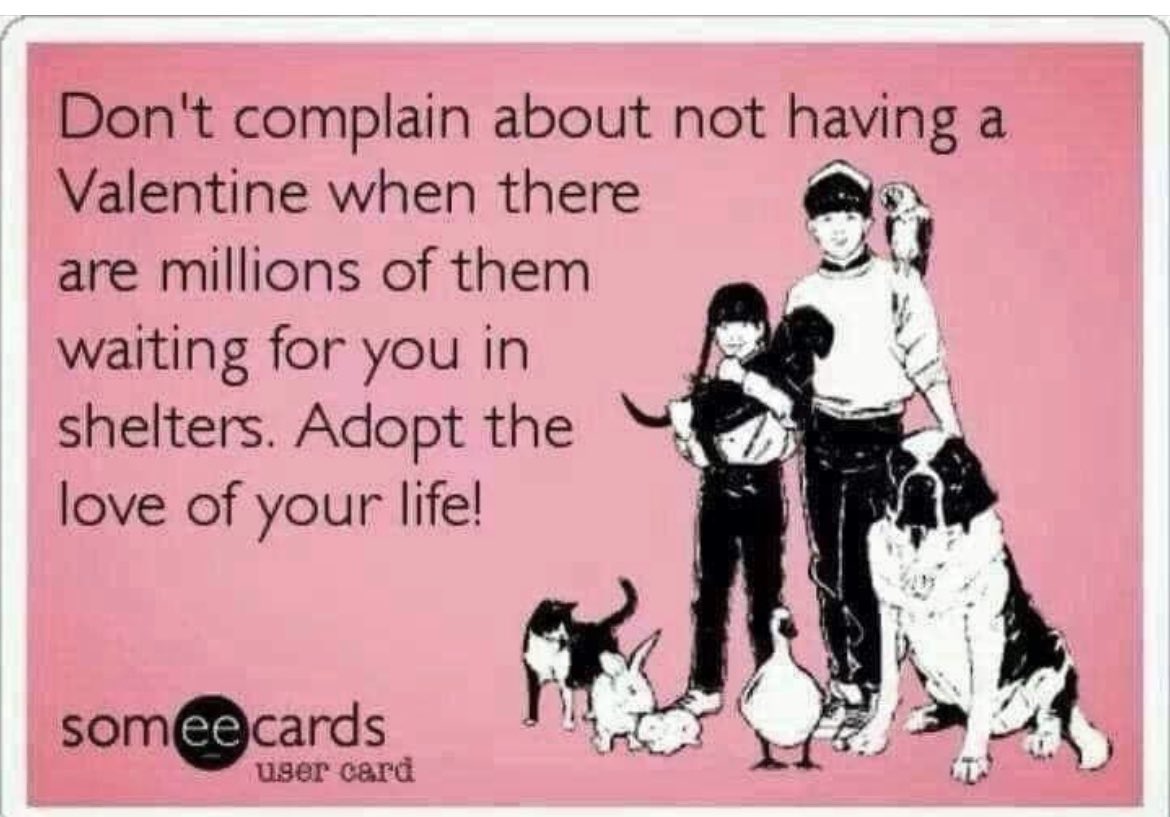 Great day to meet the new love of your life. 🐶 🐾 🐱 #AdoptDontShop