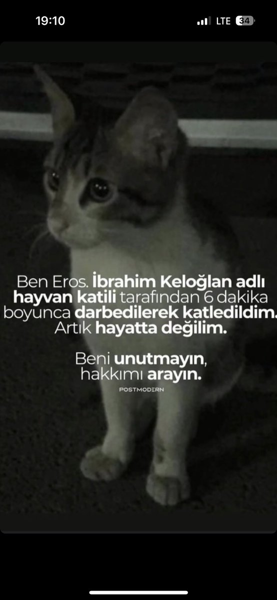 #ibrahimkeloğlanTUTUKLANSIN 
#erosiçinadalet
#ibrahimkeloğlantutuklansın