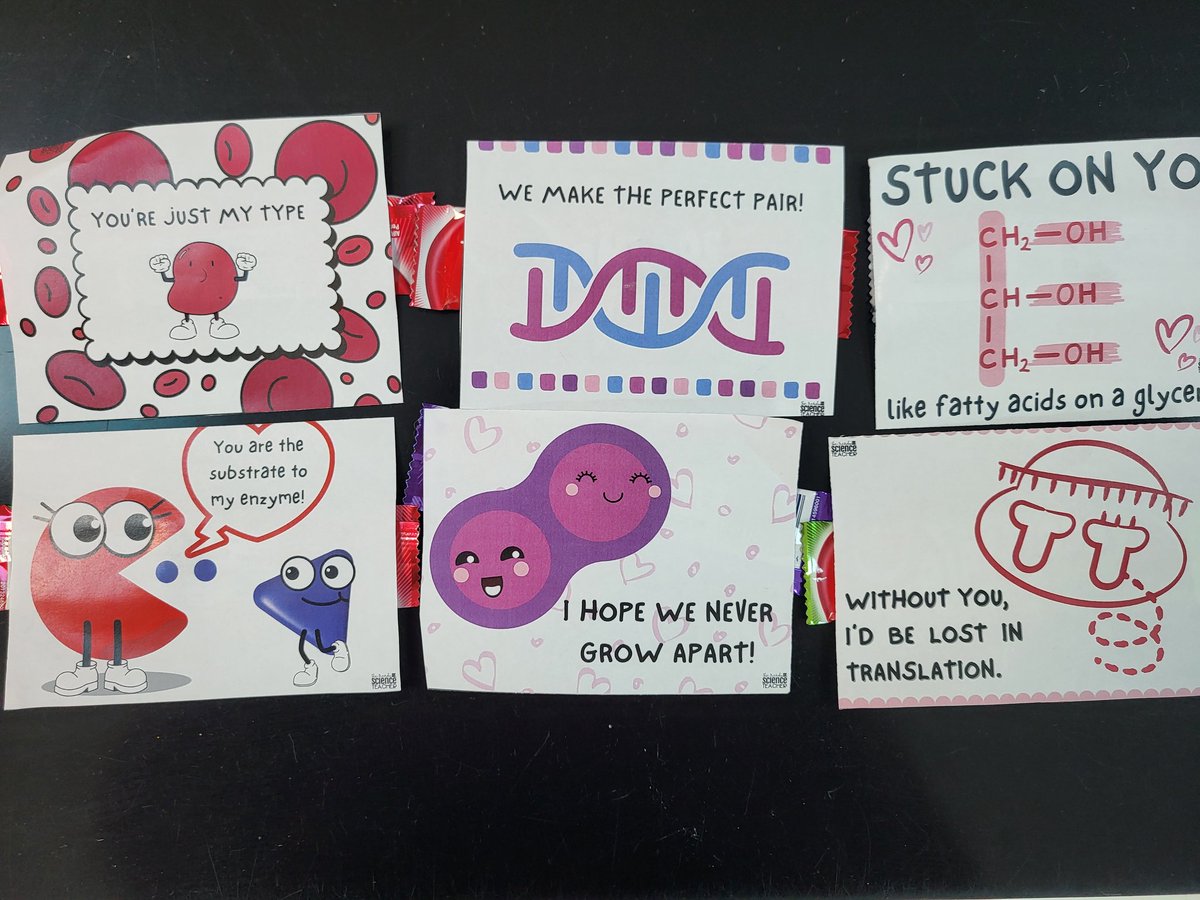 Kaitlyn Zoesch, M. Ed tweet media