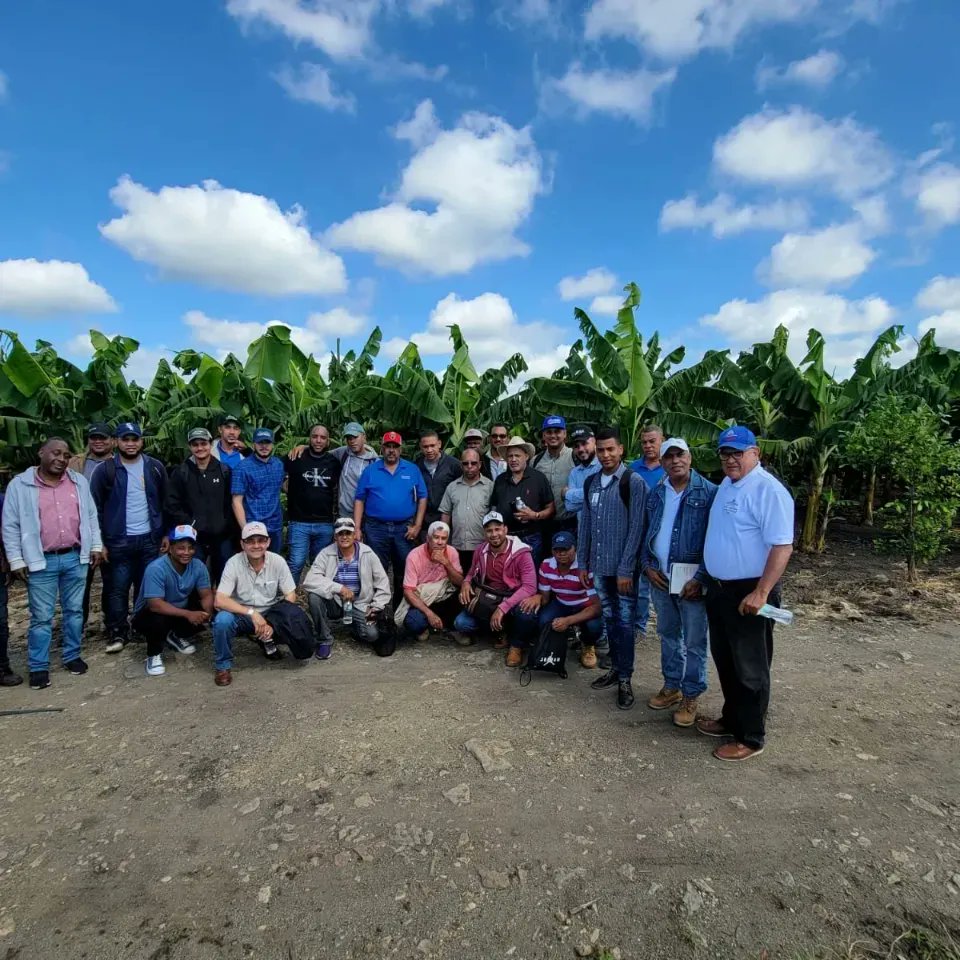 AgriNorcentral's tweet photo. Zona Agro. La Veg, Barranca. Gira técnica en el cultivo de plátano MxH 3/4, con el objetivo de sensibilizar a los técnicos agrónomos, sobre los protocolos de bioseguridad en las fincas de producción de musáceas. (Plátanos).
@AgriculturaRD @limbercruzl @CEDAF_RD @osamrd https://t.co/ibuWdOHpeQ