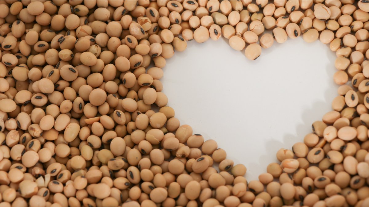Soy_Nutrition's tweet photo. SOY AND YOUR HEART β€οΈ
Incorporating soy foods into diets is recommended for promoting heart health for a variety of reasons. Read further here: https://t.co/7GJGCCqW9v
#soyfoods #WeHeartSoy #SNIGlobal #USSoy https://t.co/CfuafR98wl