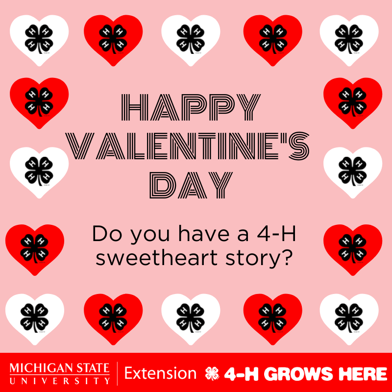Michigan4H's tweet photo. Happy Valentine's Day #MI4H! Did you meet someone you love through 4-H? Share your story with us! https://t.co/yJalFDUMaD
