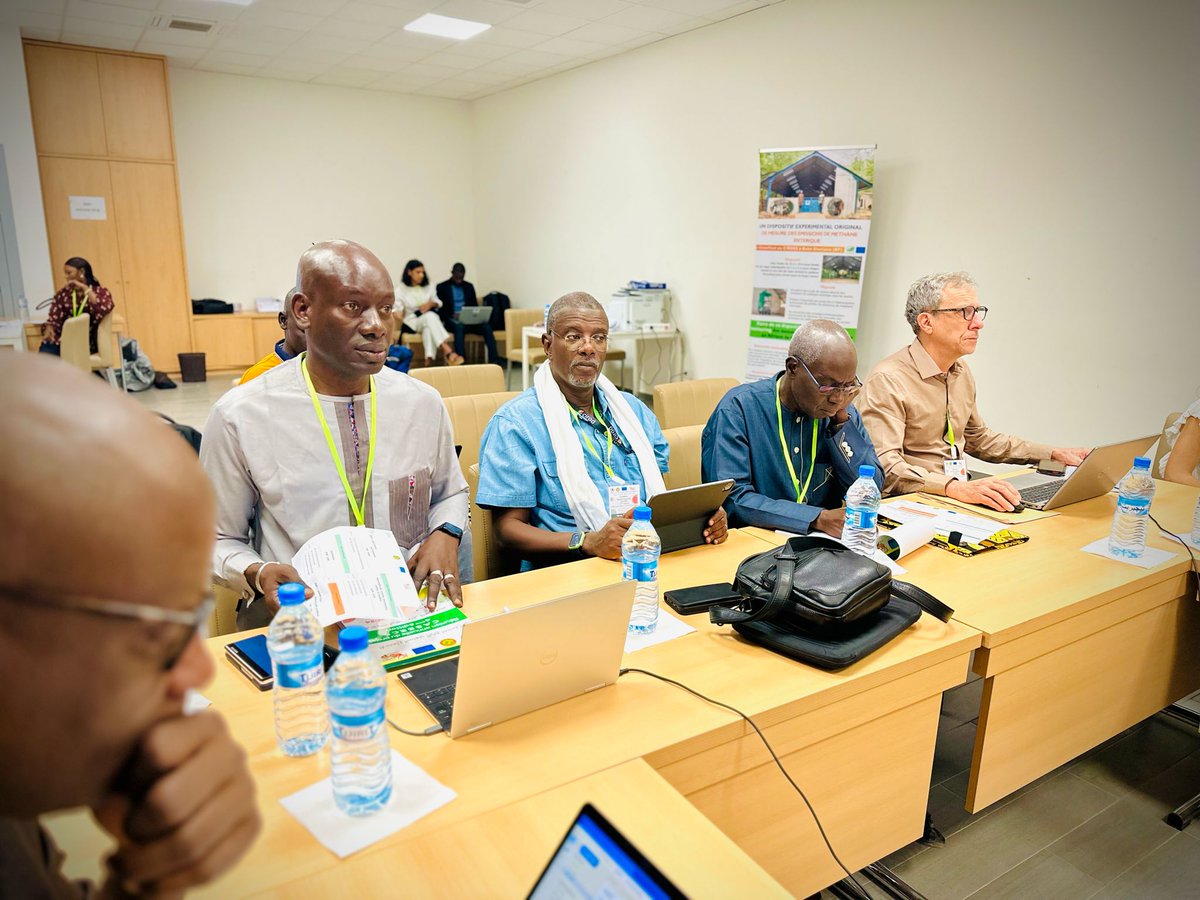 Projet CaSSECS (@projetcassecs) on Twitter photo #réunionannuelle #CaSSECS
🔎 Deuxième jour de la réunion annuelle : tous les leaders ont, tour à tour, passé en revue leurs différentes composantes.
<a href="/ISRA_Senegal/">ISRA</a> <a href="/Cirad/">Cirad</a> #réunionannuelle #CaSSECS
🔎 Deuxième jour de la réunion annuelle : tous les leaders ont, tour à tour, passé en revue leurs différentes composantes.
<a href="/ISRA_Senegal/">ISRA</a> <a href="/Cirad/">Cirad</a>