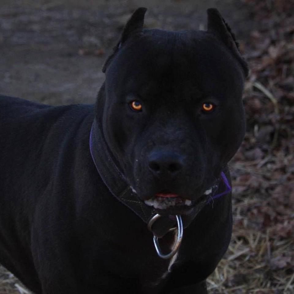 Jewelz. 🥀 tweet media