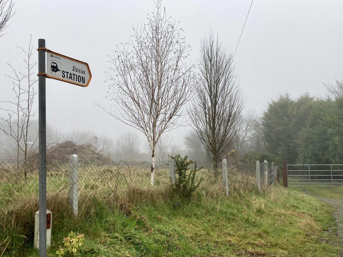 rowemag's tweet photo. Dear Irish @Dept_Transport, please bring back our local passenger train service. The tracks are still sound! (Ballycullane, Wellingtonbridge, #CoWexford) #ClimateResponse #fewercars https://t.co/SI4y83NQ3c
