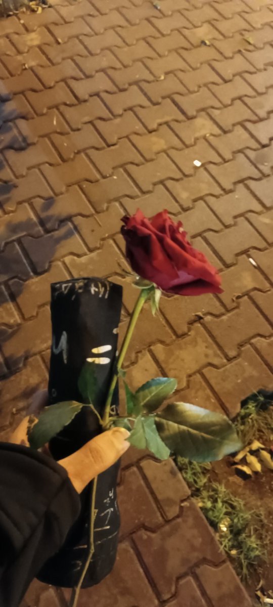 omerfatilla's tweet photo. #Valentine https://t.co/gmT5SDnV2n