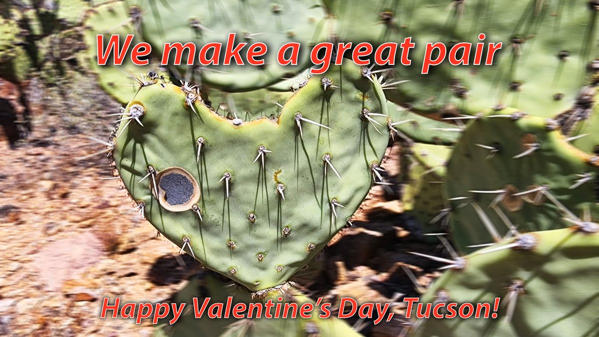 Tucson_Photog (@tucson12) on Twitter photo 