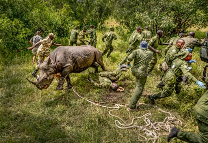 AlexKibet (@ndoleta_com) on Twitter photo 