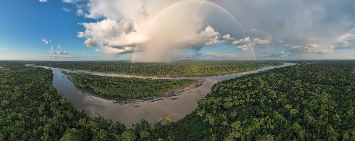 regen_network's tweet photo. Indigenous lead ecocrediting to protect jaguars and ancestral lands - and how you can directly support.
Announcements coming soon.... ๐ฆ๐ฆ๐๐
#BuiltOnRegen https://t.co/6JIvZGcMa1