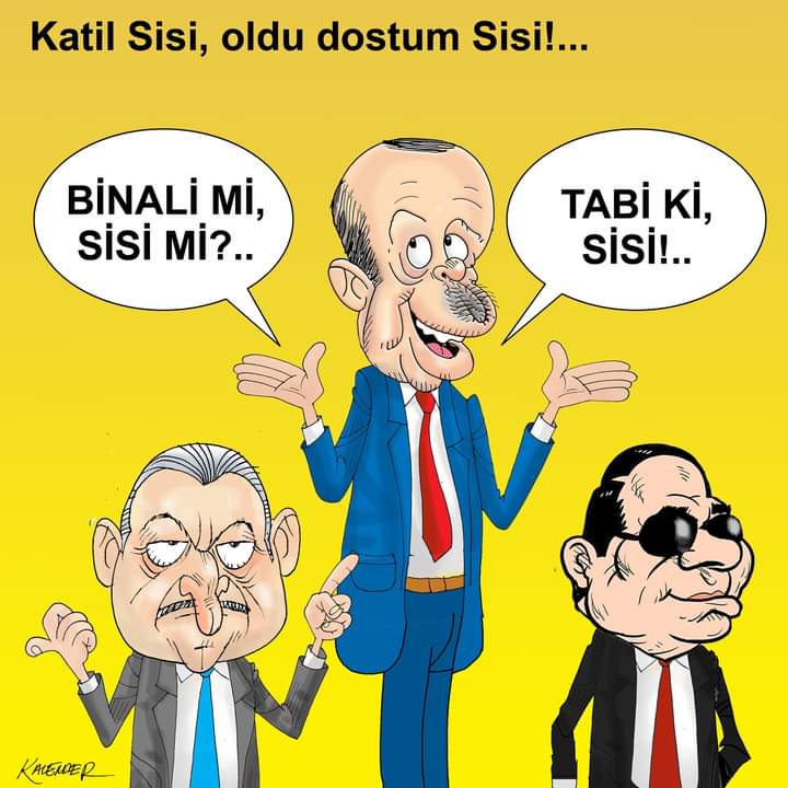 #sisi #binaliyıldırım