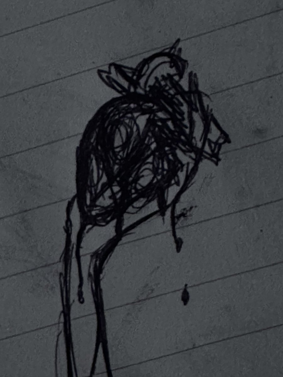 𝕾𝕰𝖁 tweet media