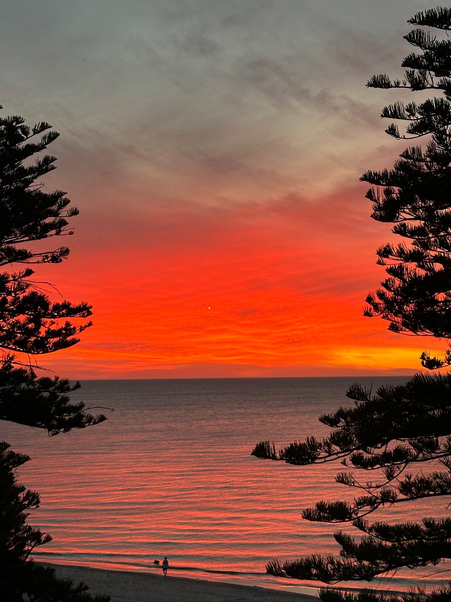 Stephen Page, the first #FirstNation Artistic Director <a href="/adelaidefest/">Adelaide Festival</a>, opens the Festival with a #worldpremiere on the beach at #sunset - do join us