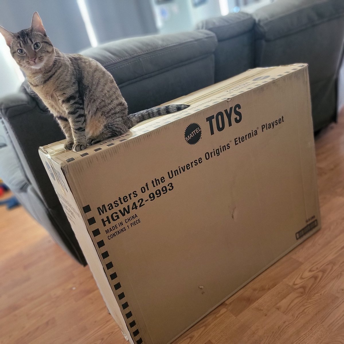 Pixel Dan tweet media