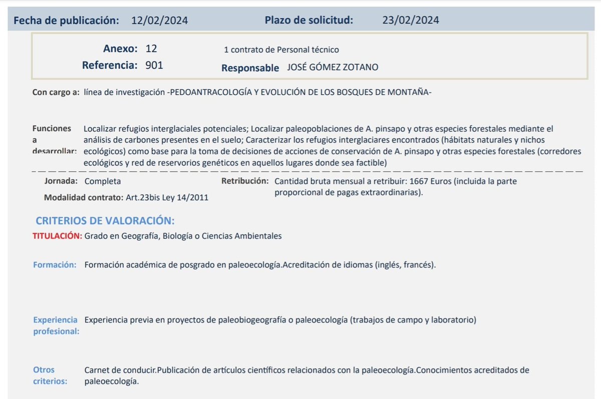 ¡Se buscan refugios interglaciales potenciales de Abies pinsapo! Bonito proyecto de investigación que convoca Contrato de Personal Técnico: Grado en Geografía, Biología o Ciencias Ambientales. El plazo de presentación de solicitudes finaliza el próximo 23 de febrero.