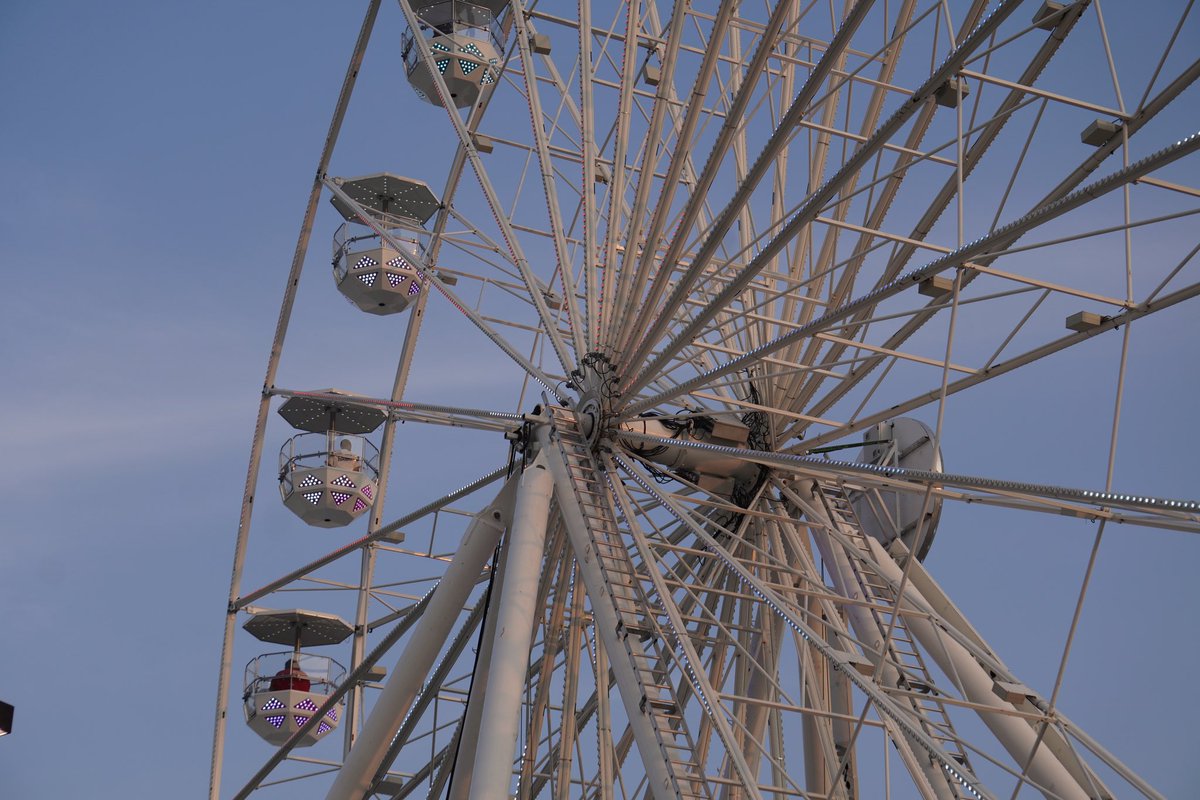 Happy National Ferris Wheel Day!! 🎡

#ferriswheel #ohiostatefair #aosfyc