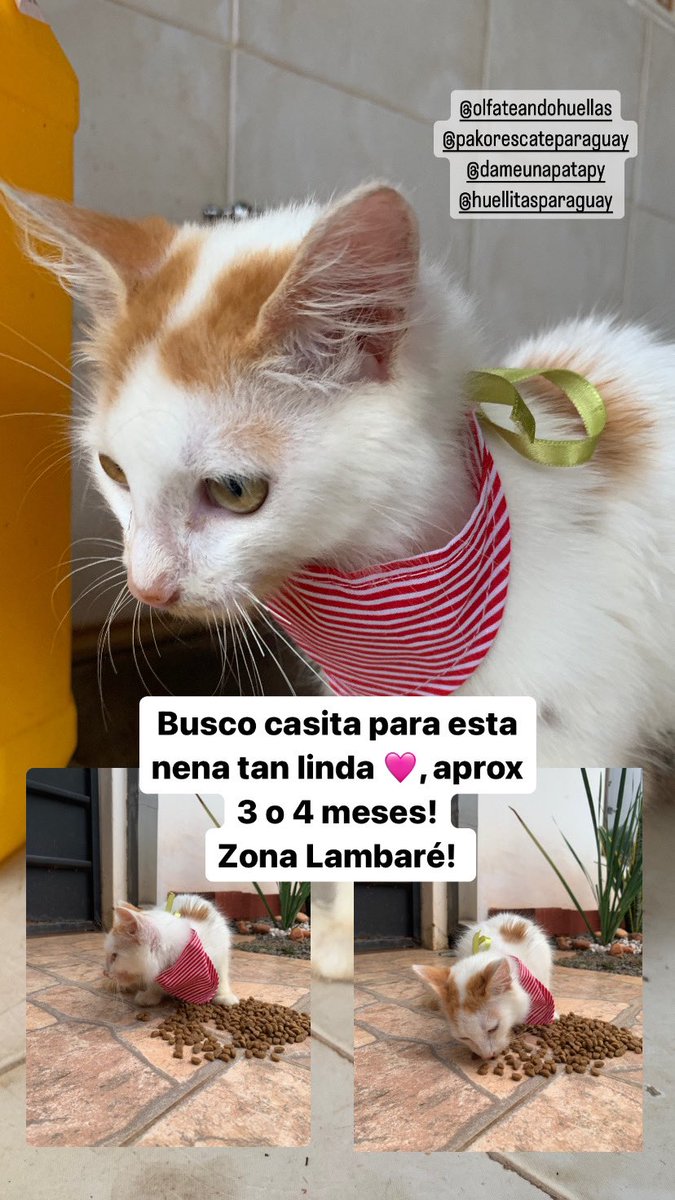 Rt porfa para que esta bebé encuentre una familia pronto! 🩷