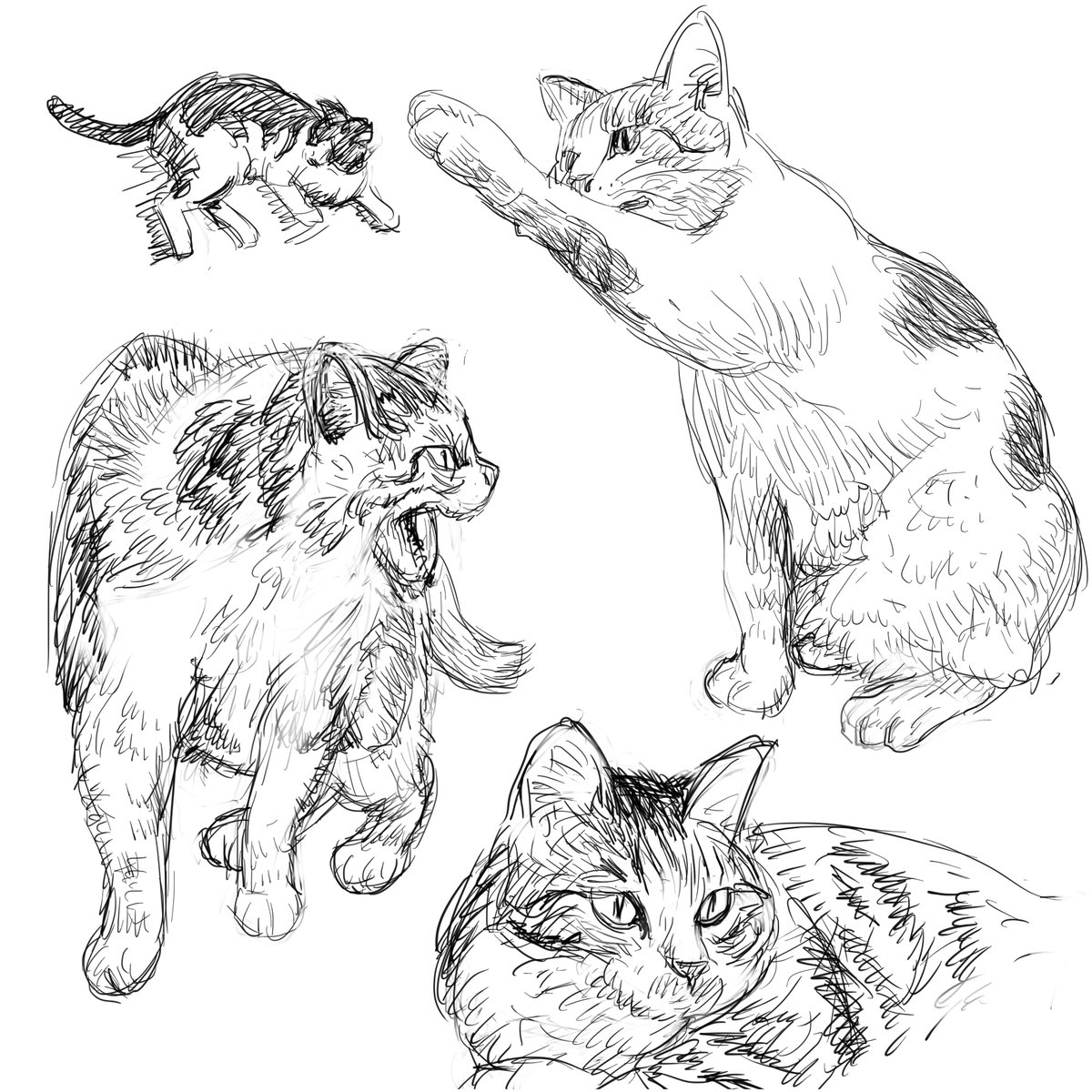 ねみーっすー🥱
苦しまぎれは猫モシャー
皆さんお疲れ様
また明日ー おやすみなさいー
😴💤 