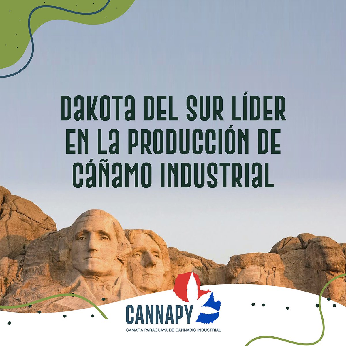 Cannapy_'s tweet photo. Dakota del Sur, en su tercer año de cultivo de cáñamo pasó a convertirse en el estado líder en la producción de cáñamo industrial en EE. UU. En su primer periodo de cultivo experimentó una cosecha considerable de inmediato.

Más información: https://t.co/m7hWYmNDB0. 

#CannaPy https://t.co/hwLQRnuWUz