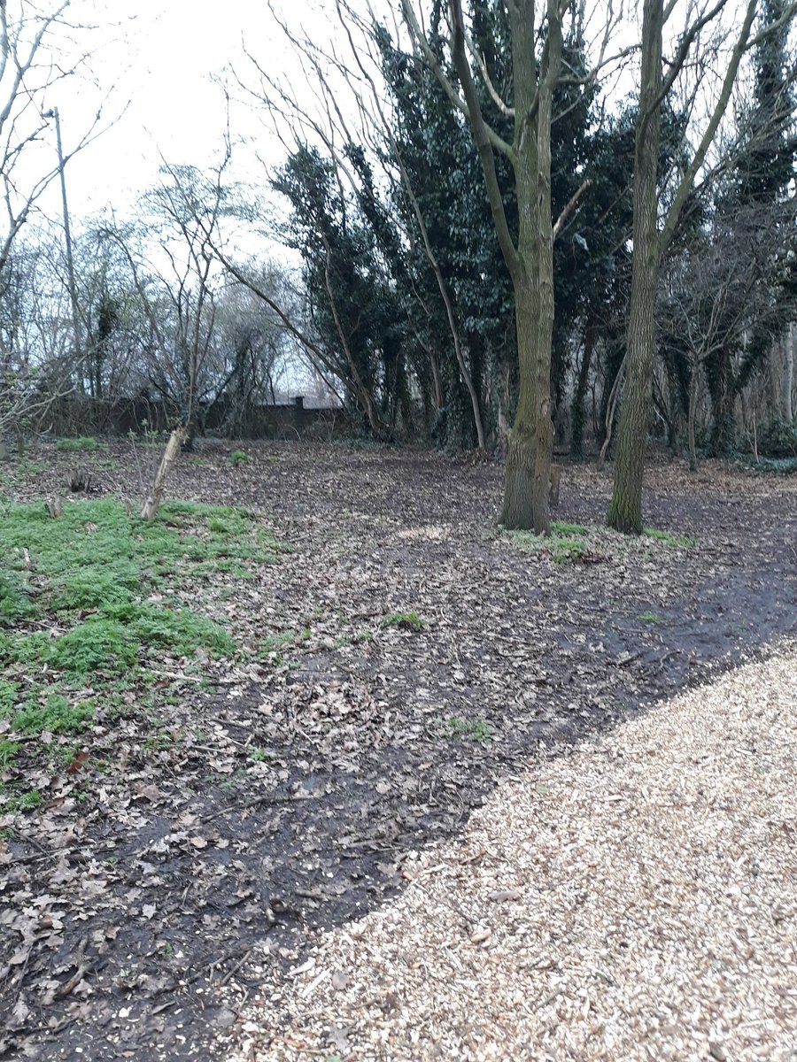 Kit Strange tweet media