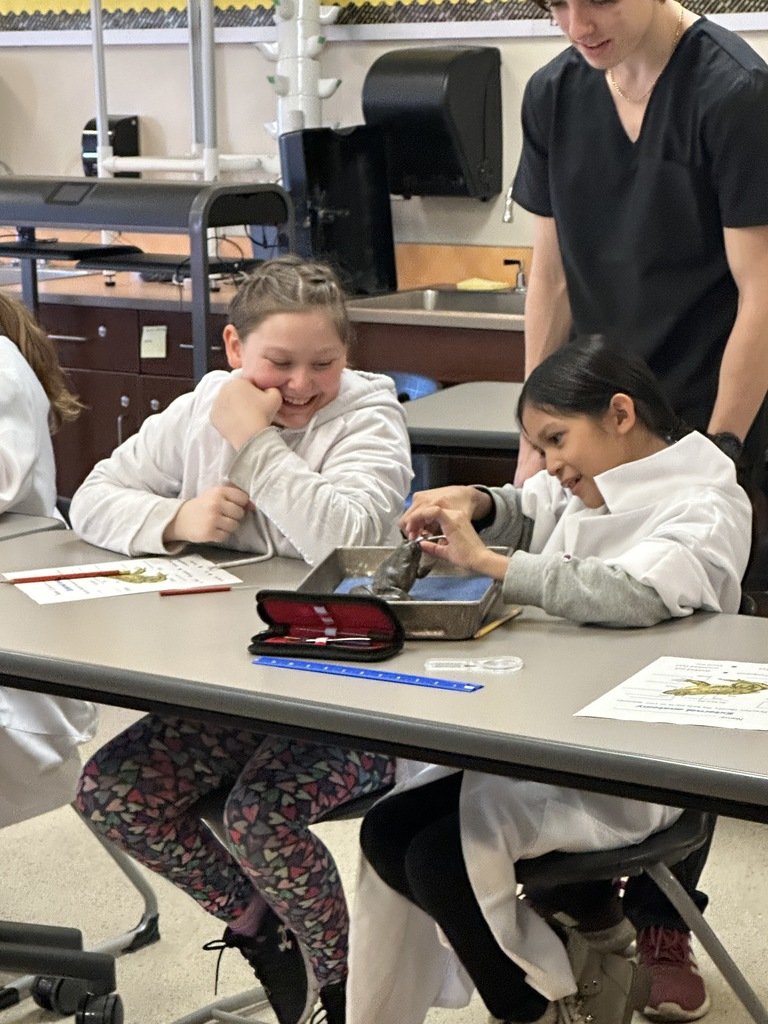 4th grade students were both intrigued and horrified by their frog dissection experience today! Thanks to Mrs. Gough and her students for bringing this experiences to our Knights!! #ExperienceWCS