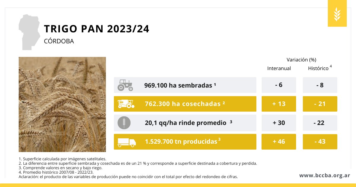 BCCBA's tweet photo. 📍Córdoba -Cultivos
Cálculos finales de producción de trigo campaña 

TRIGO🌾23/24
Valores y variaciones interanuales
⬇️Sup. sembrada: 969.100 ha (-6%)
⬆️Sup. cosechada: 762.300 ha (+13%)
⬆️Rto. prom.: 20,1 qq/ha (+30%)
⬆️Producción: 1.529.700 tn (+46%)

https://t.co/fi6Pi57Nnx💻 https://t.co/67GlkowQB8