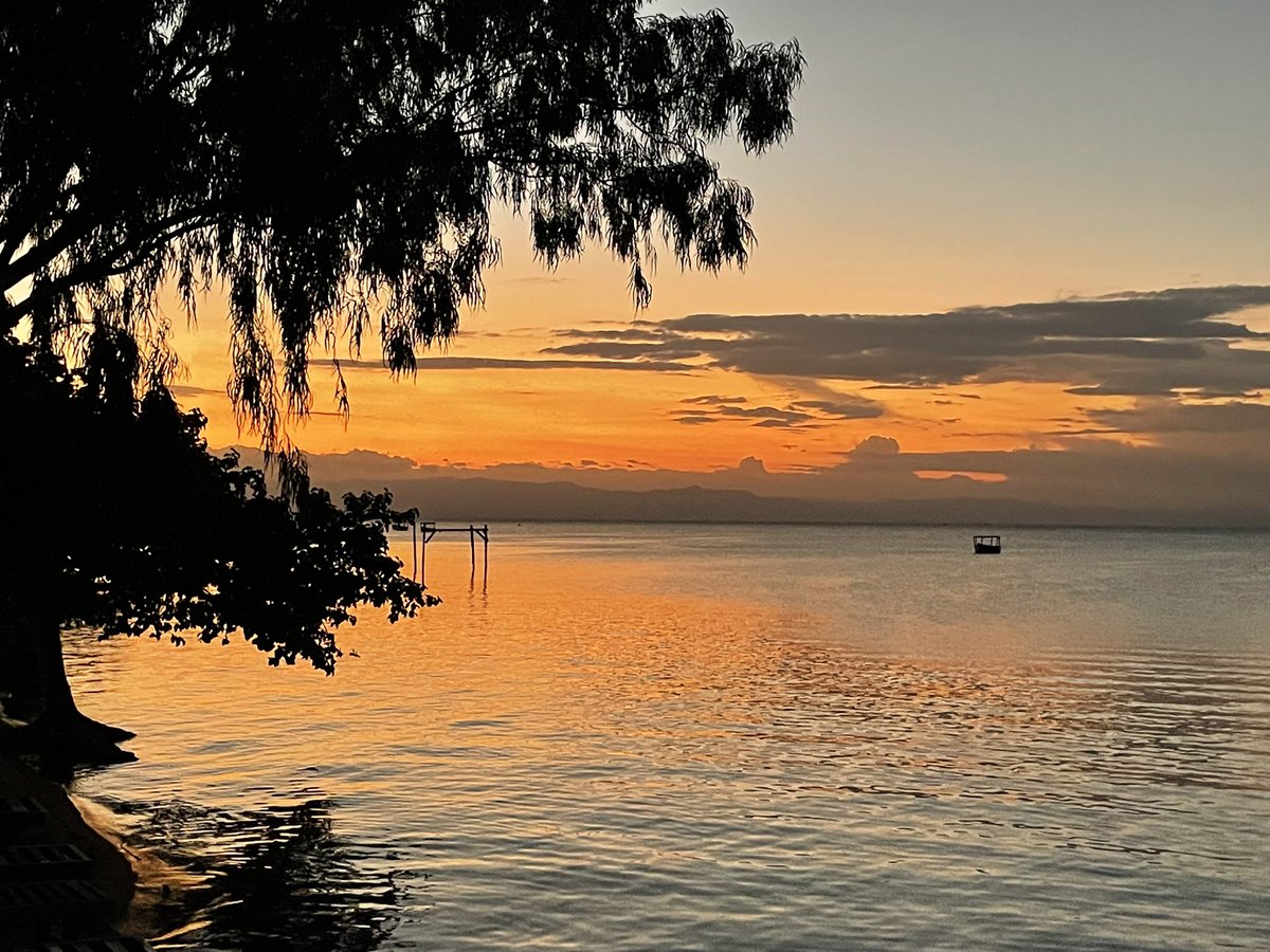 Sue Aspinall tweet media