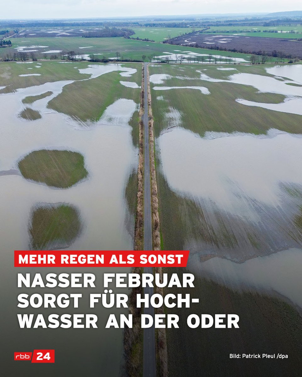 rbb24's tweet image. Laut Deutschem Wetterdienst fällt diesen #Winter zwischen 30% und 70% mehr #Regen als durchschnittlich um diese Zeit. An den #Oder-Abschnitten in #Frankfurt und Kinitz hat das #Landesumweltamt nun die #Alarmstufe I ausgerufen.