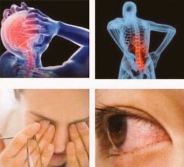 عمر الزهور باختصار