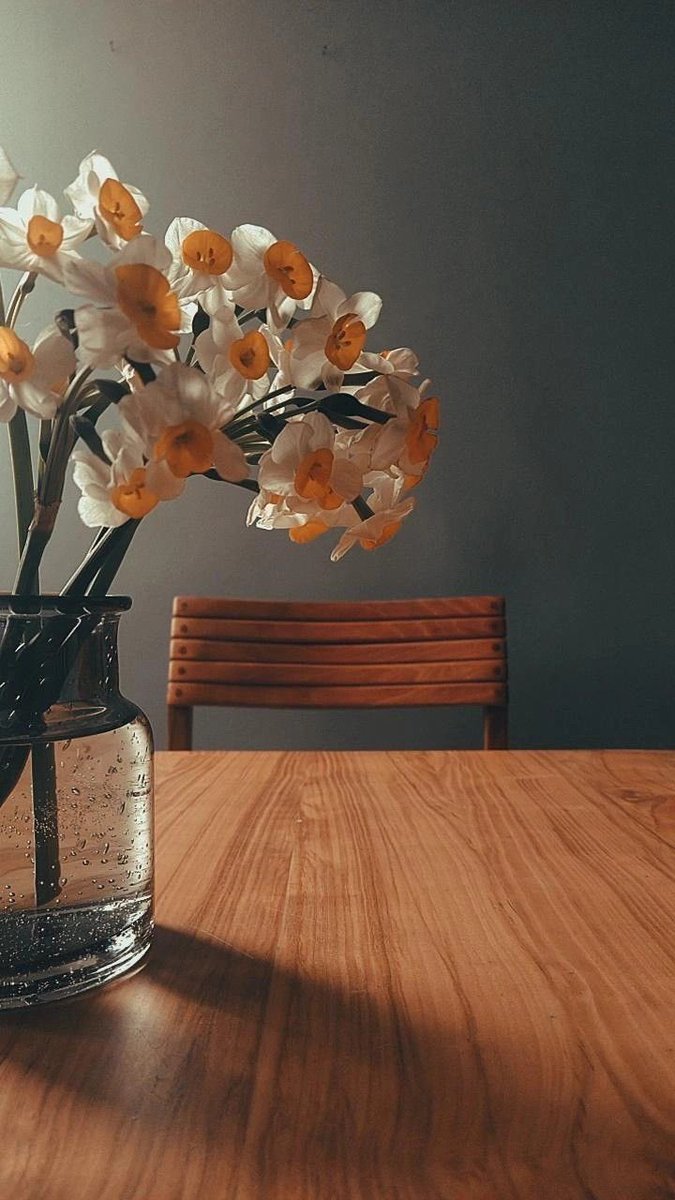 แดฟโฟดิล (นาร์ซิสซัส)

เป็นสัญลักษณ์ของการเริ่มต้นใหม่และการเกิดใหม่ มันเป็นความหมายที่ดี แต่เขาชอบอีกความหมายที่ไม่ได้เจอได้บ่อยอย่างการรักตนเอง การให้อภัยและความคิดสร้างสรรค์

เขาหยิบมันออกมาจากช่อ บรรจงตัดแต่งกิ่งและใส่พวกมันลงไปในแจกันใบใส

—สุขสันต์วันวาเลนไทน์ ตัวเขาเอง