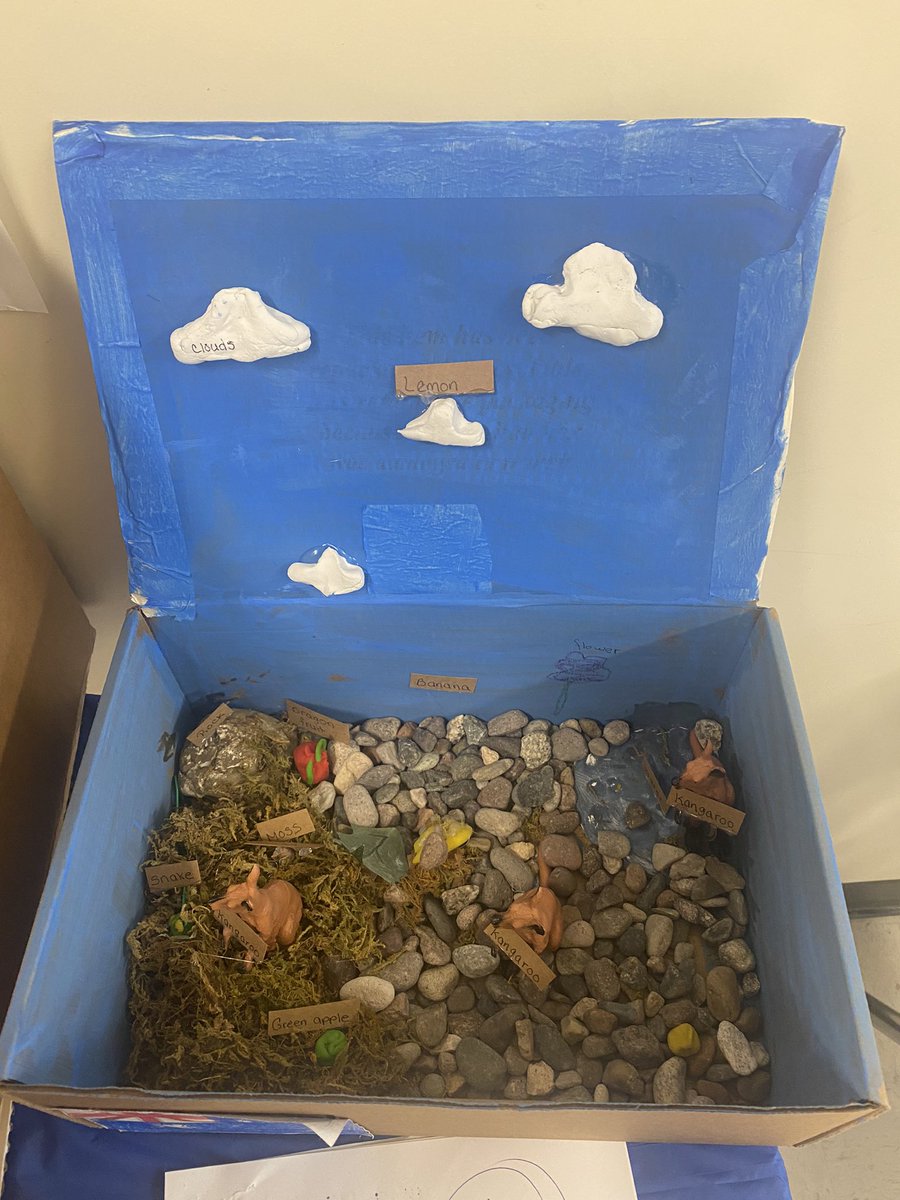 MelissaLee247's tweet photo. Elementary students in Banning Independent Study School worked hard on their Ecosystem Projects! 🐻‍❄️🐧🦕 @BanningUnified #CoombsAltEd https://t.co/PnKNyFiQLv