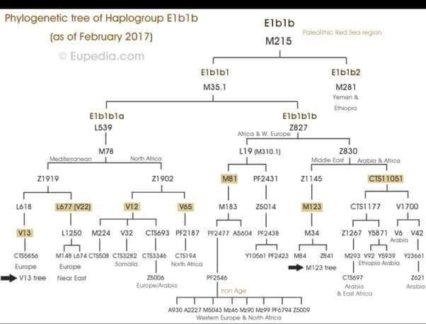 AmalGenedy's tweet image. من سنة ٢٠٠٥ لحد ٢٠١٧م، الدراسة دي بالاضافة لدراسات سابقة لدكاترة تانيين خرجوا بأيه بقا؟

- ان المصريين القدماء وبناءا على دراسات لاكتر من ٩٠ من المومياوات والاف المصريين المعاصرين، عرق منفصل بذاته قايم على طفرة جينية اللي هيا طفرة الرعامسة واول ما حصلت في مصر كانت من ٢٤ الف سنة،
