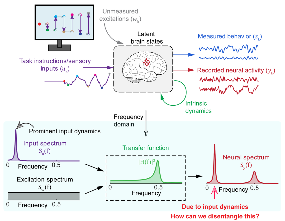MaryamShanechi's tweet photo. 🎉New in @PNASNews, we develop a method to disentangle intrinsic &amp; input-driven neural dynamics of behavior.

Doing so w/ sensory inputs reveals similar intrinsic behavior-related neural dynamics across subjects/tasks.
👏@Vahidi_Parsa @omidsani

https://t.co/gk6bZY3Irk
🧵&amp; code⬇️ https://t.co/y0quKKSedK