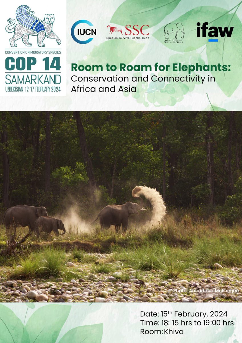 IUCN_AsESG's tweet photo. ❗️TODAY❗️February 15 at #CMSCOP14
Join us at 18.15 hrs for Room to Roam for Elephants in collaboration with our Conservation Partner @ifawglobal to discuss elephant conservation and connectivity in Africa and Asia.
#AsianElephants #AsianElephantConservation #AsESG #RoomtoRoam https://t.co/cWkznJwTyg
