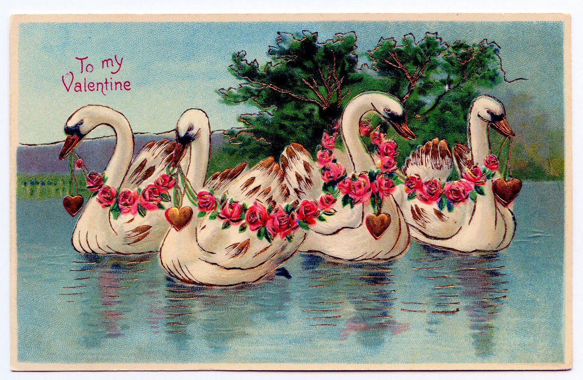 Hope you are safe and cozy on this stormy Valentine's Day!