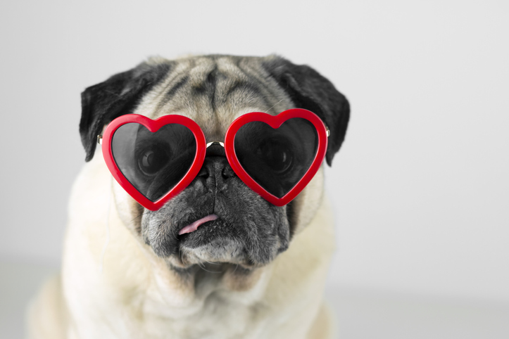 CSitterAllstate's tweet image. Happy Valentine’s Day to all our friends and followers, we hope you have a lovely day today!