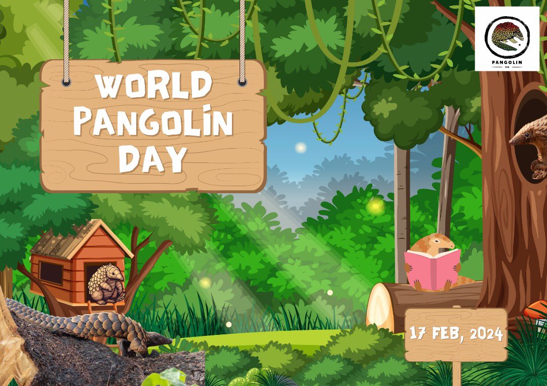 Alliance for Pangolin Conservation-Ghana tweet media