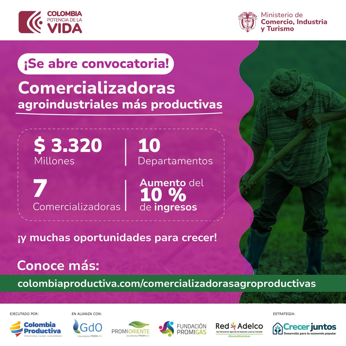 Vincúlate al proyecto #ComercializadorasAgroProductivas. Más ventas, nuevos conocimientos, mejor infraestructura y calidad para siete comercializadoras agroindustriales. 💚👩‍🌾🙌 Visita   👉colombiaproductiva.com/comercializado…