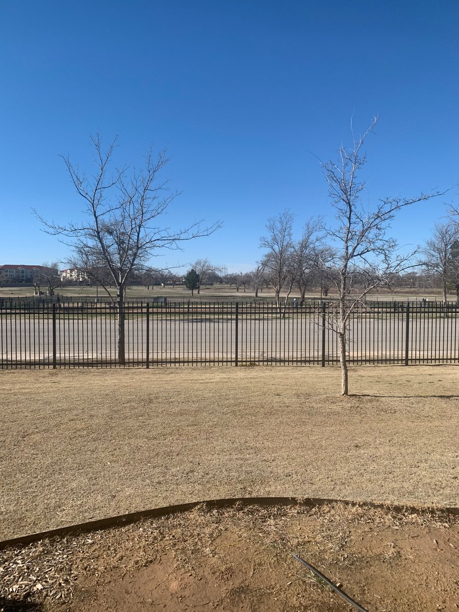 Pic 1:  Sunday 11/2/24
Pic 2: Wednesday 14/2/24.

Life really can change in an instant