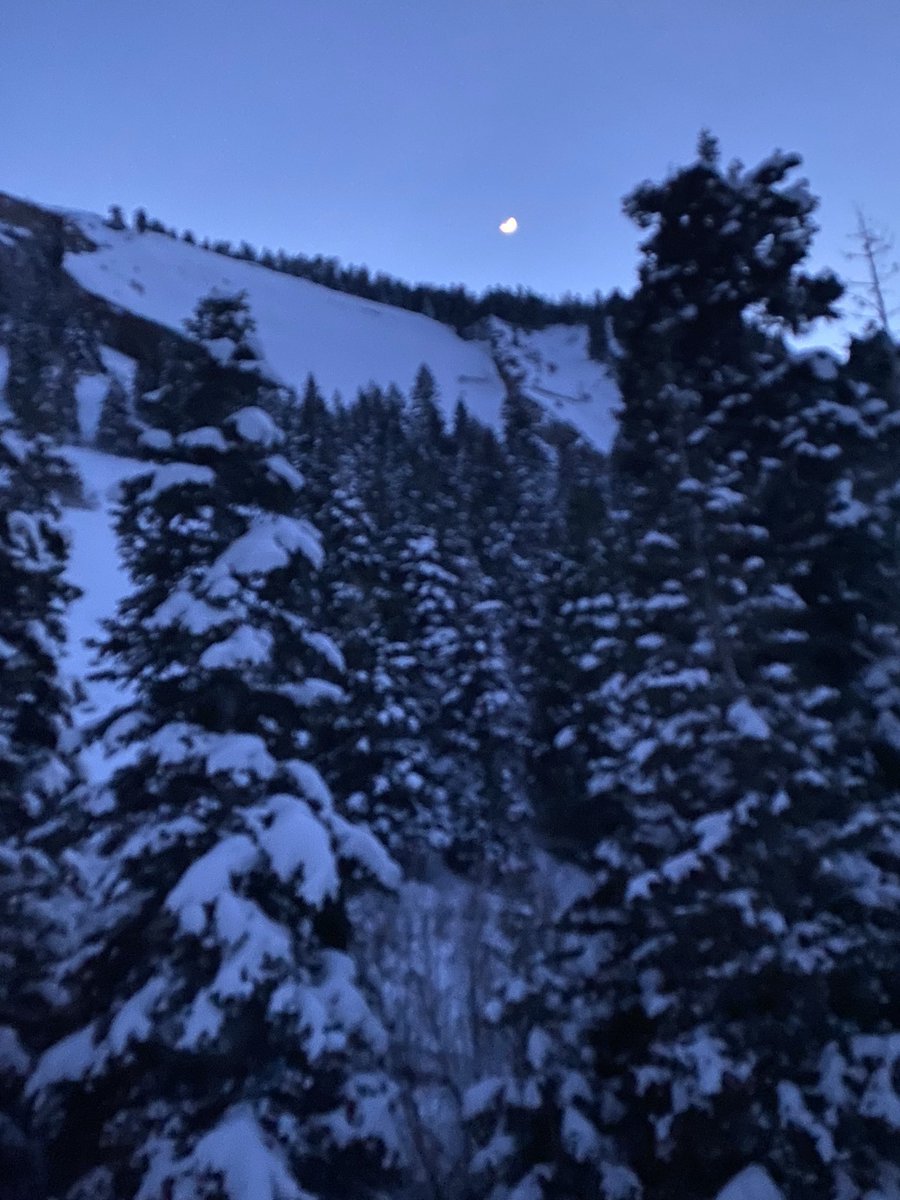 MichaelLab06's tweet image. When moonrise happens over Wasatch powder smothered pines! #utah #wasatch @AlanaBrophyWX @dannahyer