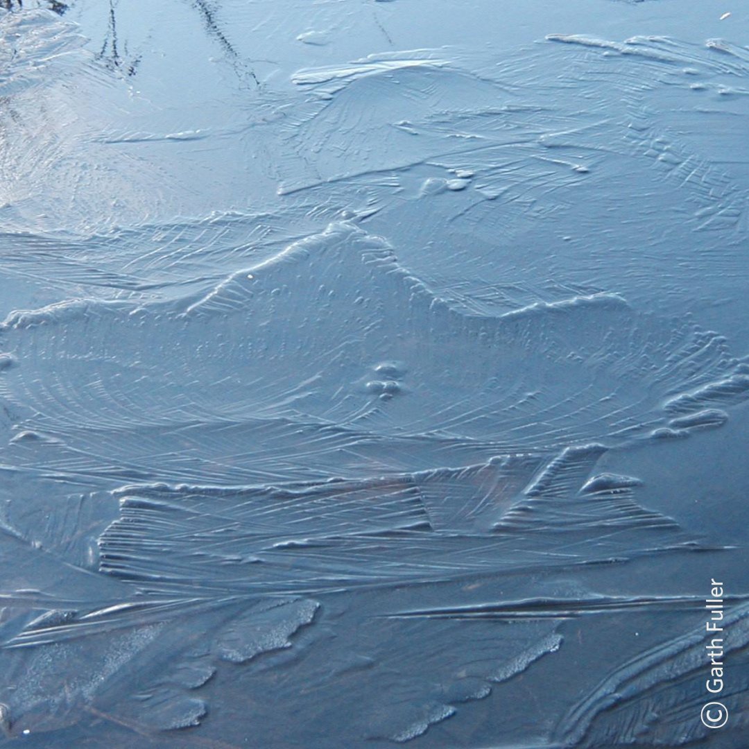 The Nature Conservancy in Minnesota tweet media