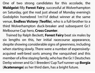 🥇 Maiden Winner of the Week for WALDGEIST in today's @bloodstocknews 🏇Congratulations to all Forest Fairy's connections @MountEatonStud @PhilipHore @RalphBeckett @A_C_Elliott @Rossaryan15