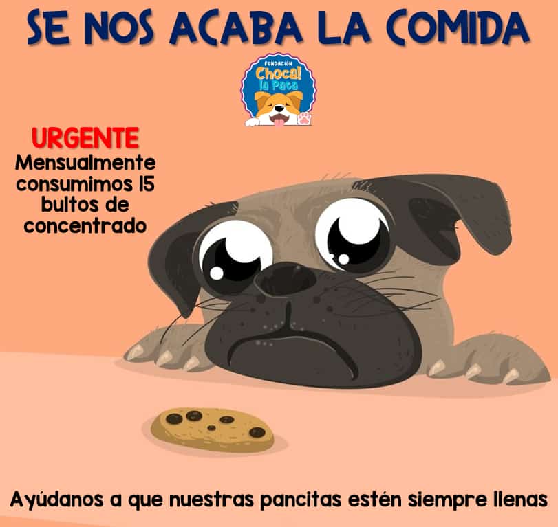 FunChocaLaPata's tweet photo. 🆄🆁🅶🅴🅽🆃🅴 Tenemos un 🆘🆘🆘, tenemos comida hasta el Viernes, ya nuestras reservas se agotan, necesitamos de toda su ayuda para comprar la comida mensual de nuestros perritos 🐶❤️🍪 recuerda que ya podemos emitir certificado de donación, ayúdanos a llenar las pancitas de 🐶 https://t.co/NK4JU4cJqf