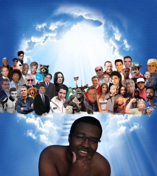 meme bastard 🍕 tweet media