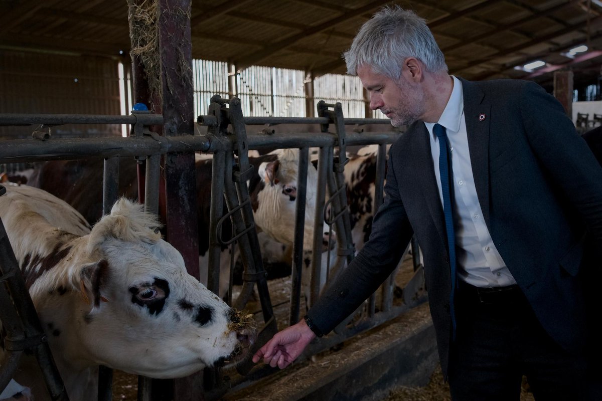 Wauquiez's faux pas: Campaigning across France, but silence on real farmer issues. #WauquiezFail #AgricultureBlind #FrenchElection