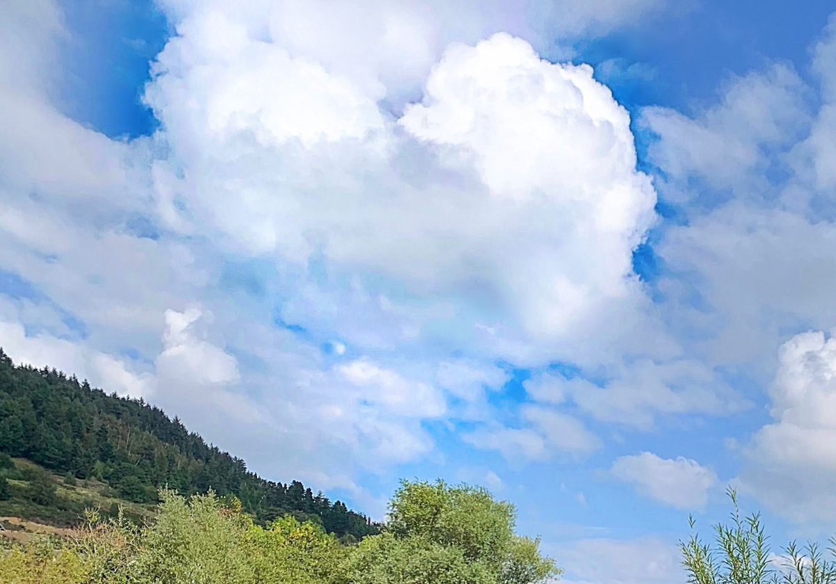 #Heart shaped #clouds! ☁️💙❤️🩵☁️@StormHour @ThePhotoHour #valentinesday2024 #ValentinesDay