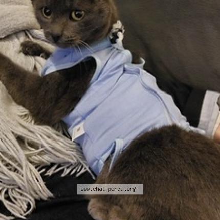 Minou Perdu tweet media