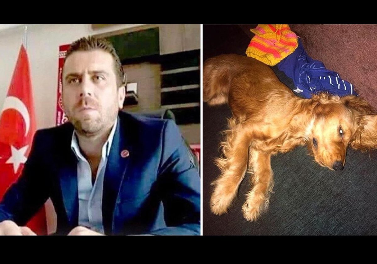 Srpulsy's tweet photo. Bu #volkanuzun 
Kendisine emanet edilen 3 aylık yavru köpeği ciğerleri yırtılıp makatı kopana kadar tecavüz edip öldürdüğü iddia edilmişti. Aramızda dolaşıyor… 
O da ceza almadı!

#HayvanHaklarıAnayasaya 
#ibrahimkeloğlanTUTUKLANSIN 
#volkanuzunyargılans��n
#SokakHayvanlarıSahipsizDeğil
